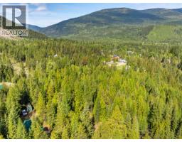 550 Macleod Street, Kitchener, BC V0B2W2 Photo 6