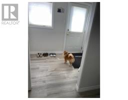 30166 Western Road, Wellington, PE C0B2E0 Photo 14