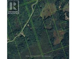 0b Reid Street, Trent Lakes, ON K0M2A0 Photo 6