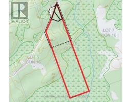 0a Reid Street, Trent Lakes, ON K0M2A0 Photo 7