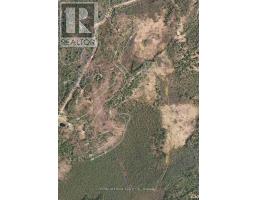 0a Reid Street, Trent Lakes, ON K0M2A0 Photo 6