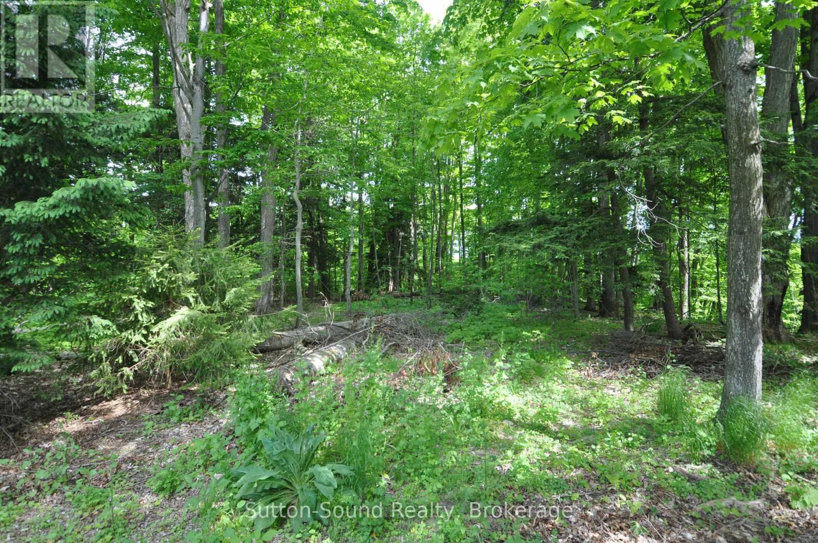 294 FOREST HILL DRIVE - 47