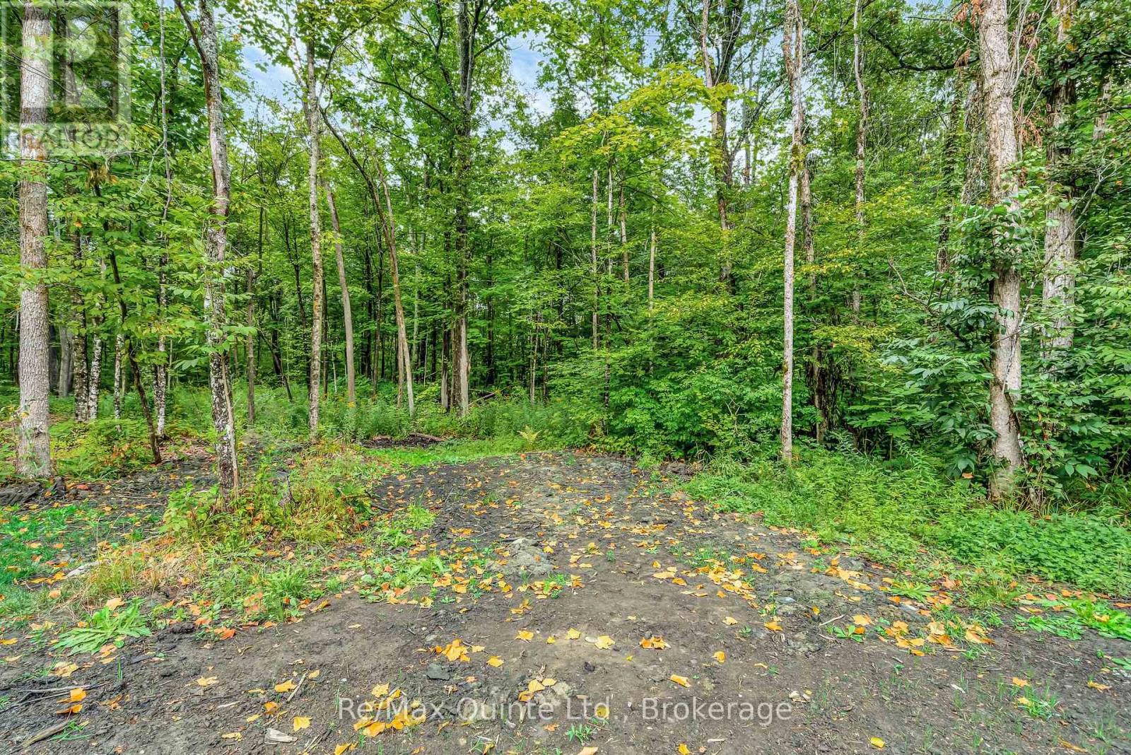 14184 HIGHWAY 62 - 23