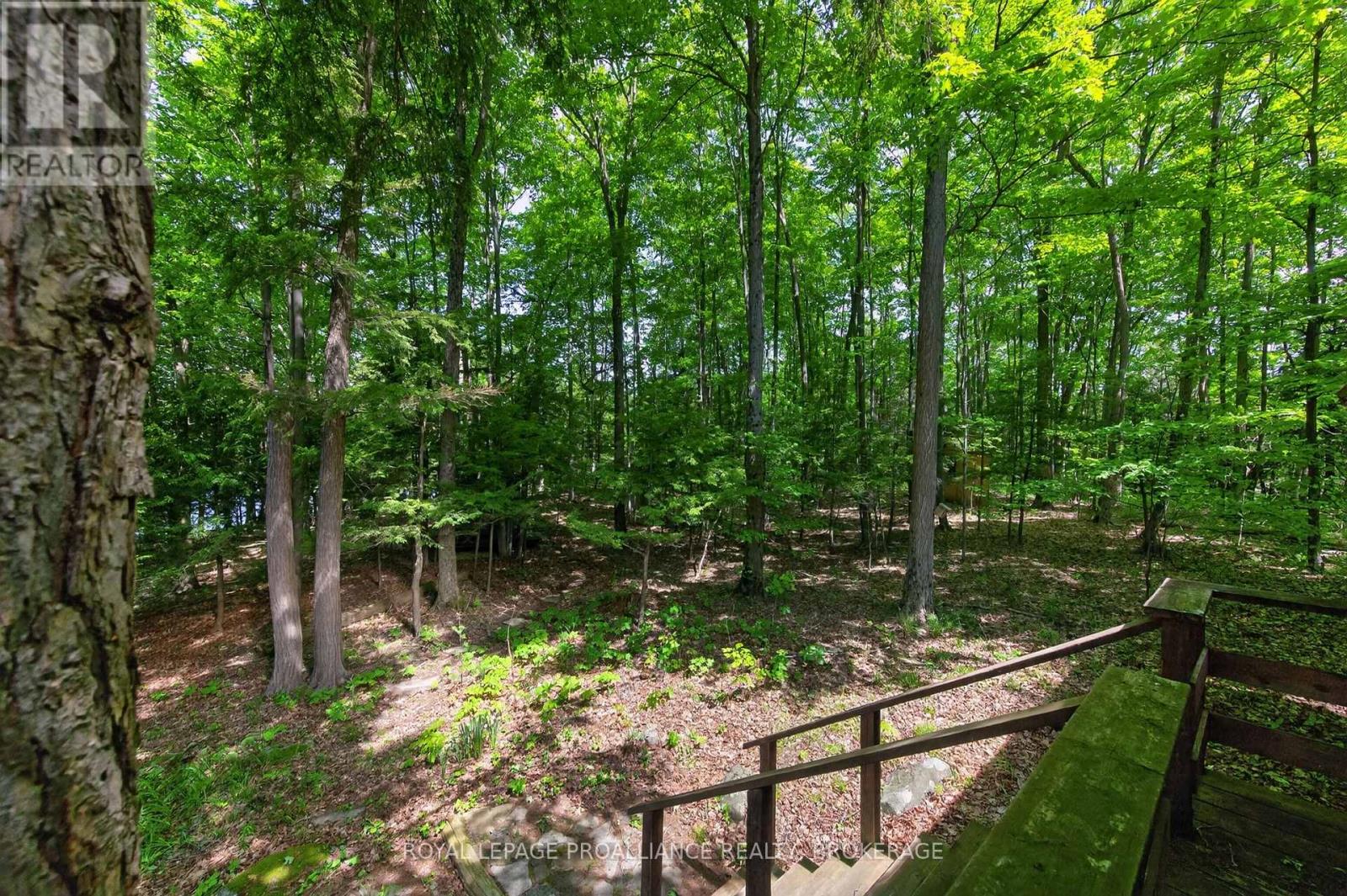 1147 SHADOW LANE - 20