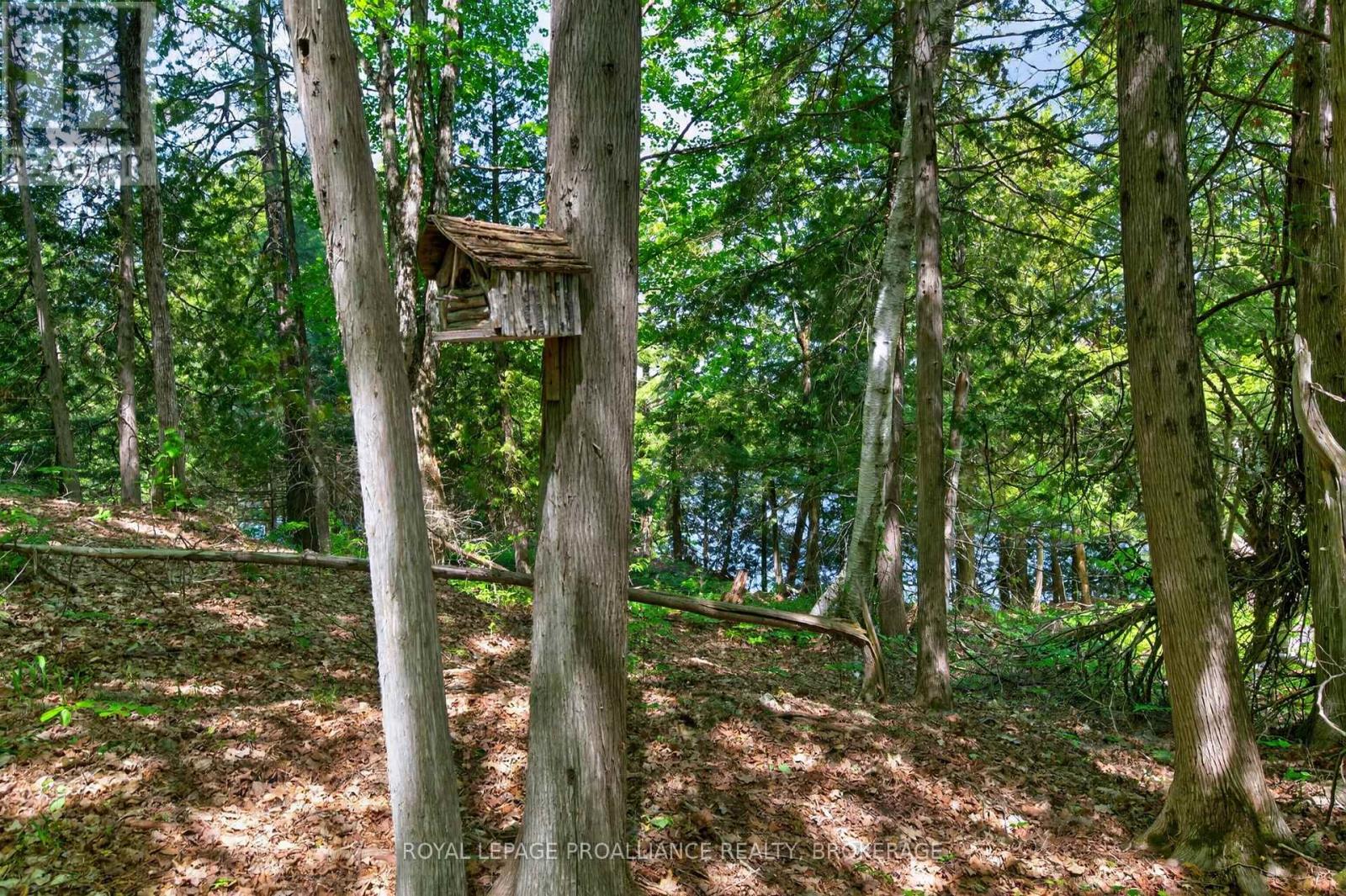 1147 SHADOW LANE - 26