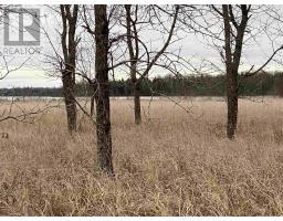 Lot 2 & 3 Con Nelson Dr, St  Joseph Island, ON P0R1G0 Photo 8