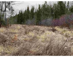 Lot 2 & 3 Con Nelson Dr, St  Joseph Island, ON P0R1G0 Photo 11