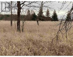 Lot 2 & 3 Con Nelson Dr, St  Joseph Island, ON P0R1G0 Photo 16
