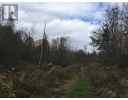 Lot 2 & 3 Con Nelson Dr, St  Joseph Island, ON P0R1G0 Photo 15