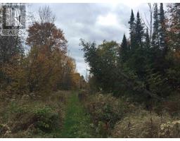 Lot 2 & 3 Con Nelson Dr, St  Joseph Island, ON P0R1G0 Photo 20
