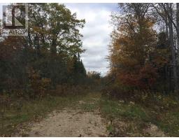 Lot 2 & 3 Con Nelson Dr, St  Joseph Island, ON P0R1G0 Photo 17