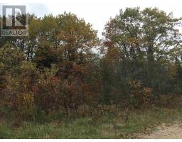 Lot 2 & 3 Con Nelson Dr, St  Joseph Island, ON P0R1G0 Photo 19