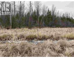 Lot 2 & 3 Con Nelson Dr, St  Joseph Island, ON P0R1G0 Photo 6