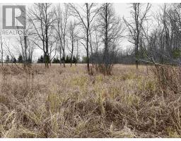 Lot 2 & 3 Con Nelson Dr, St  Joseph Island, ON P0R1G0 Photo 10