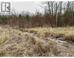 Lot 2 & 3 Con Nelson Dr, St  Joseph Island, ON P0R1G0 Photo 7