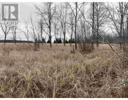 Lot 2 & 3 Con Nelson Dr, St  Joseph Island, ON P0R1G0 Photo 13