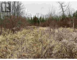 Lot 2 & 3 Con Nelson Dr, St  Joseph Island, ON P0R1G0 Photo 14