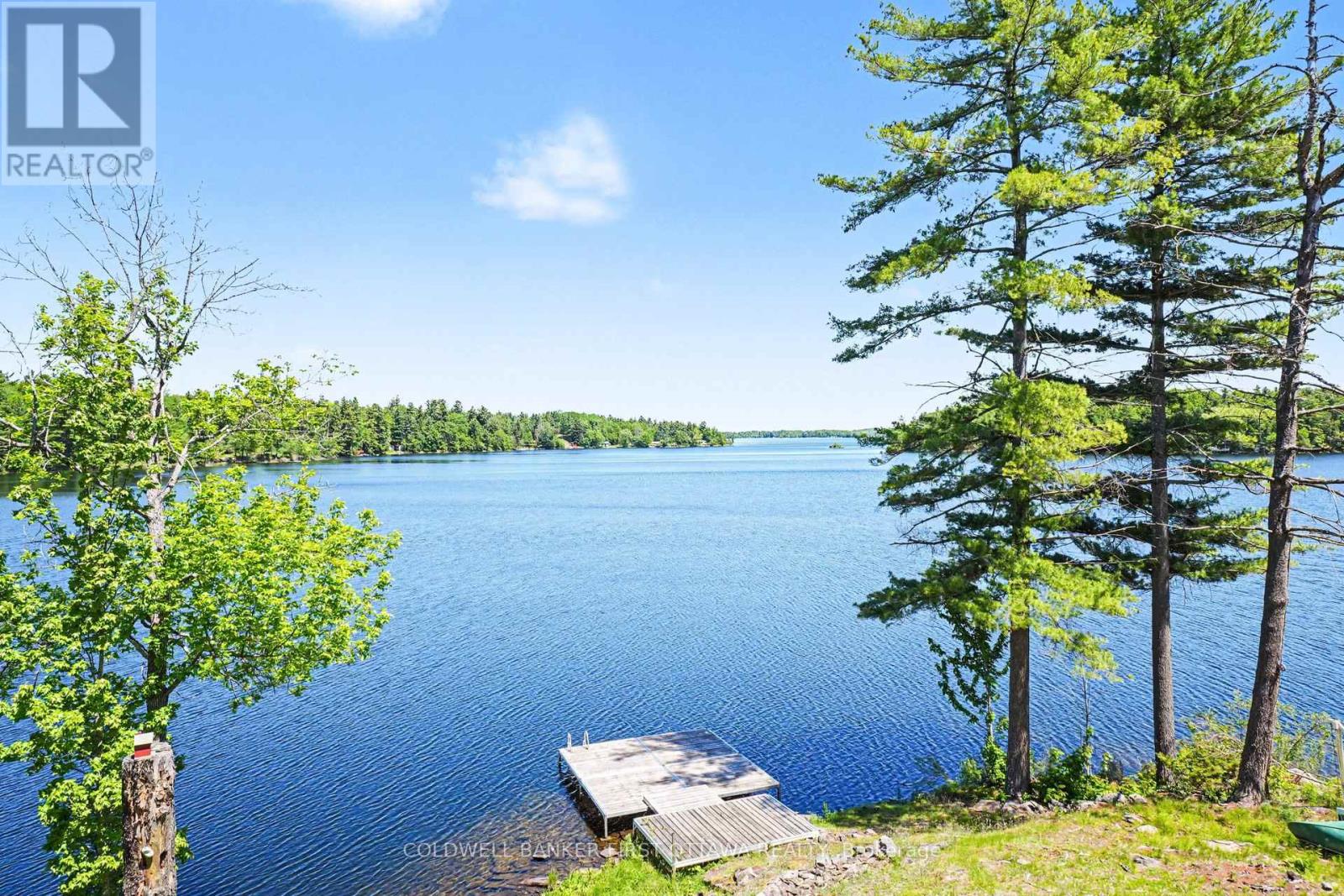 1394 BLACK LAKE NORTH SHORE - 27