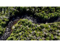 188 Adams Road, Calvin, ON P0H1V0 Photo 24