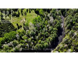 188 Adams Road, Calvin, ON P0H1V0 Photo 33