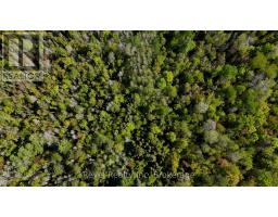 188 Adams Road, Calvin, ON P0H1V0 Photo 25
