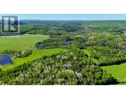 188 Adams Road, Calvin, ON P0H1V0 Photo 35