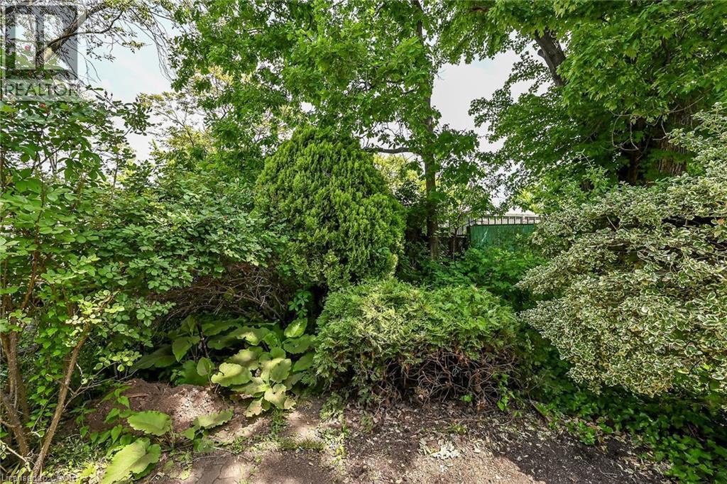 13 BRANT Street - 42