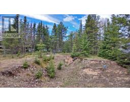124 Sunset Bay Road, Iroquois Falls, ON P0K1G0 Photo 40