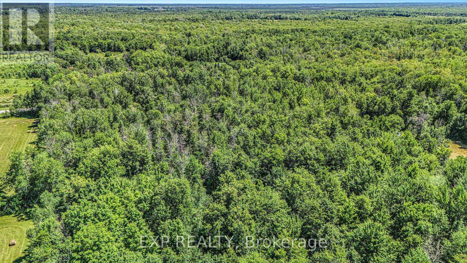 0000 DRUMMOND CONC 7 CONCESSION