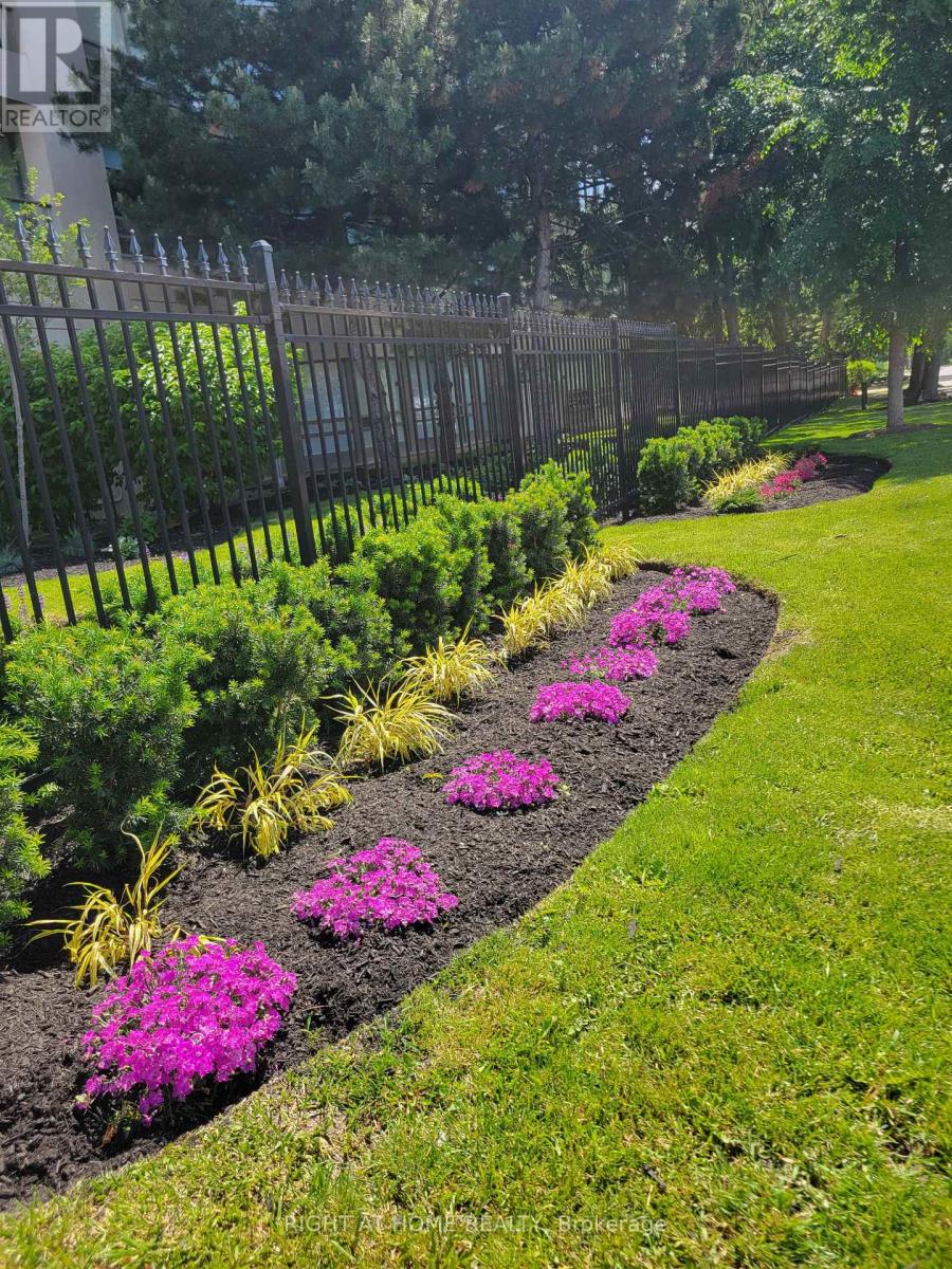 Grounds