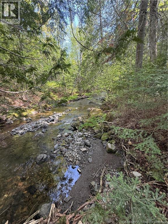 1166 Robertville Road - 27