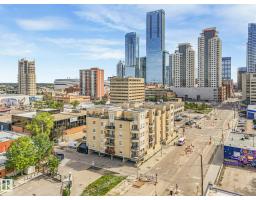 #310 10606 102 Av Nw, Edmonton, AB T5J5E9 Photo 13