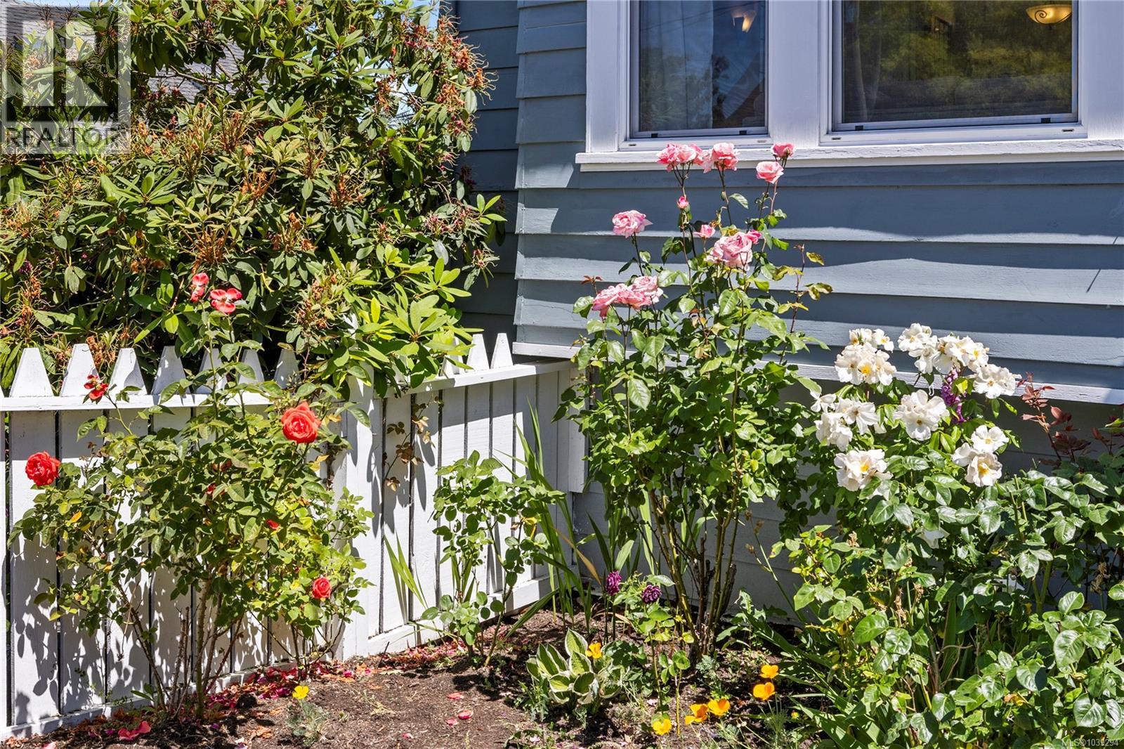 292 Machleary St - 45