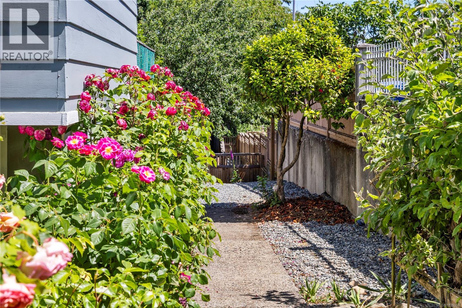 292 Machleary St - 46