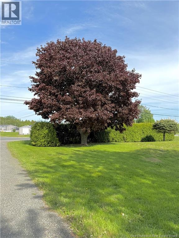 331 Route 560 - 4