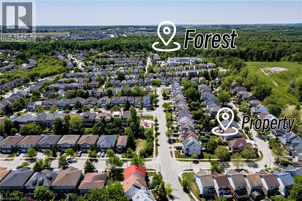 743 BUTTERNUT Avenue - 7