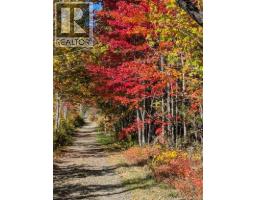 597 Birch Ridge Road, Arthurette, NB E7H1L6 Photo 44