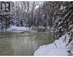 597 Birch Ridge Road, Arthurette, NB E7H1L6 Photo 41