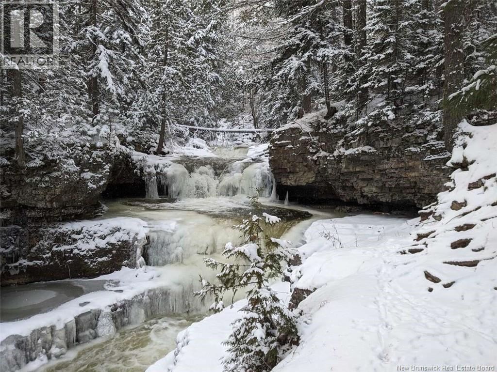 597 Birch Ridge Road - 39