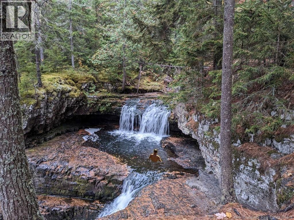 597 Birch Ridge Road - 36
