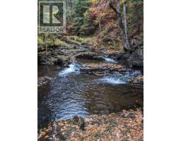 597 Birch Ridge Road, Arthurette, NB E7H1L6 Photo 40