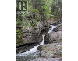 597 Birch Ridge Road, Arthurette, NB E7H1L6 Photo 37