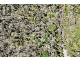 Lot 14 Golden Horizon Drive, South West Port Mouton, NS B0T1T0 Photo 24