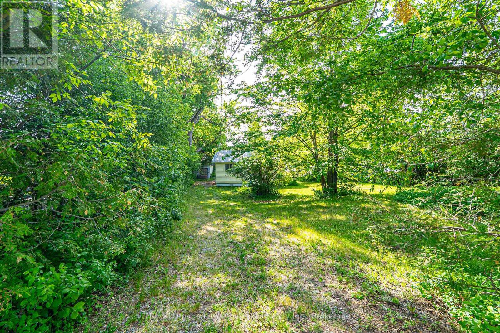 244 O'REILLY LANE - 33