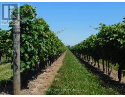 3705 North Service Road, Lincoln, ON L3J1J3 Photo 18