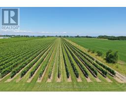 3705 North Service Road, Lincoln, ON L3J1J3 Photo 21