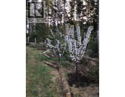 3150 Cedar Coast Dr, Sooke, BC V9Z1G8 Photo 7