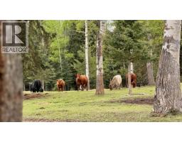 6300-6310 N Horse Lake Road, 100 Mile House, BC V0K2E3 Photo 34