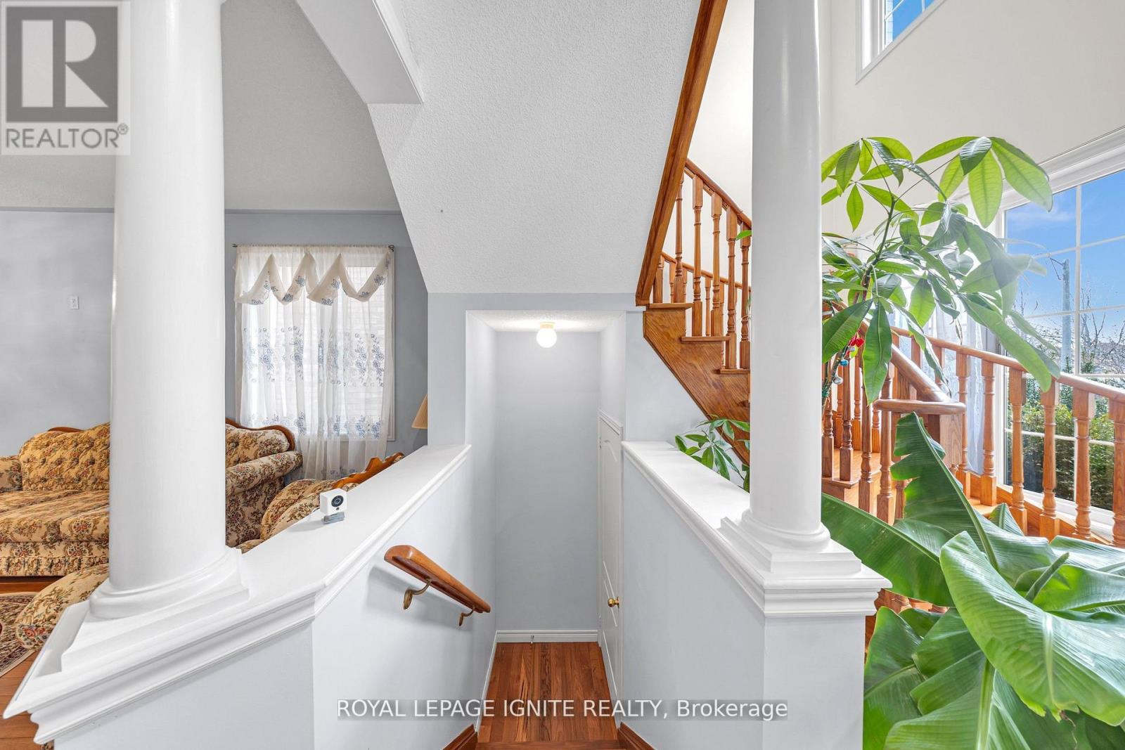 59 BOSWELL ROAD - 20