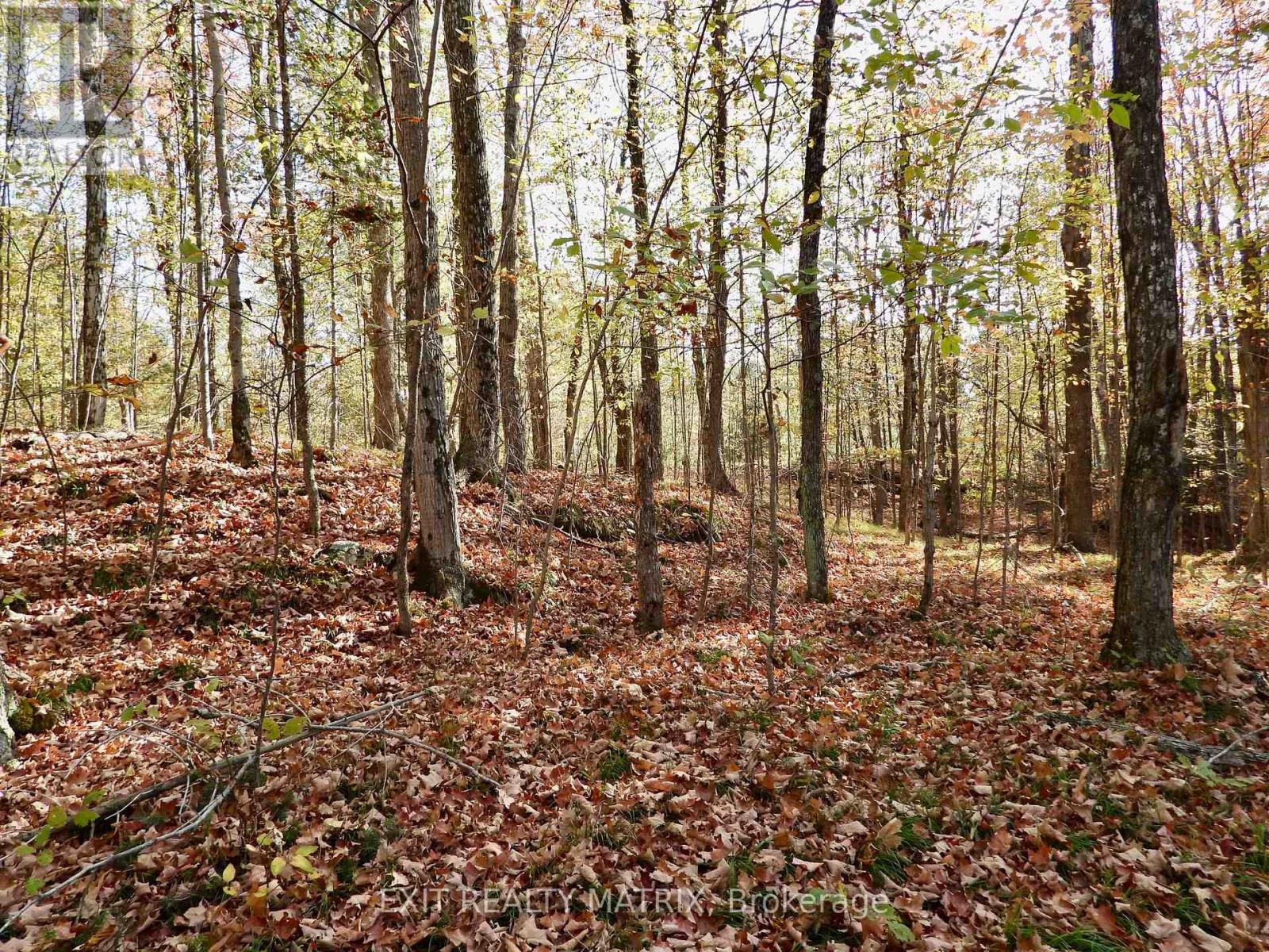 LOT 1 WOODLAND PARK DRIVE
